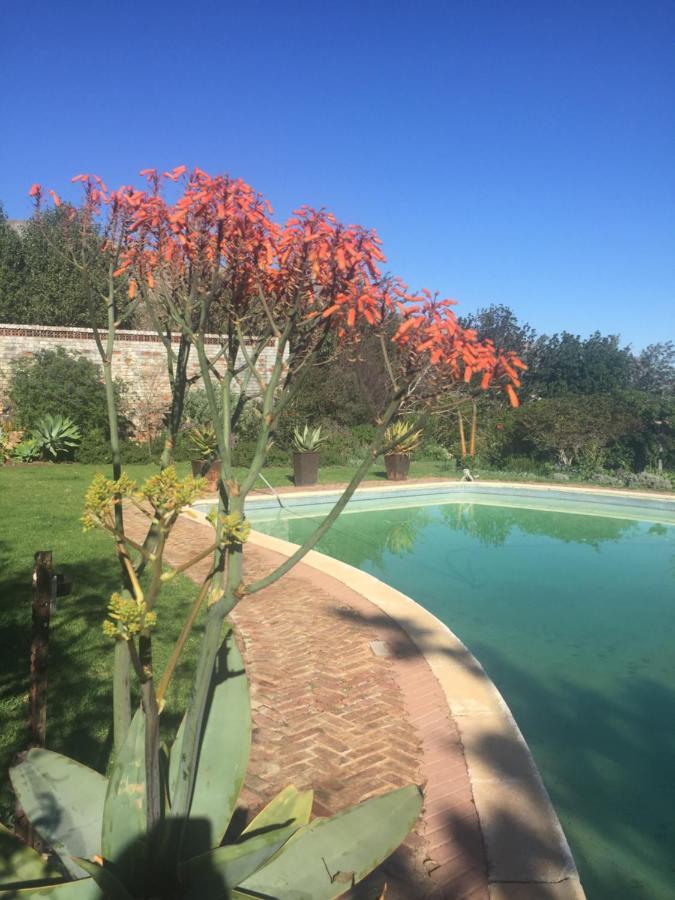 Watermill Studios Gordon's Bay Eksteriør billede