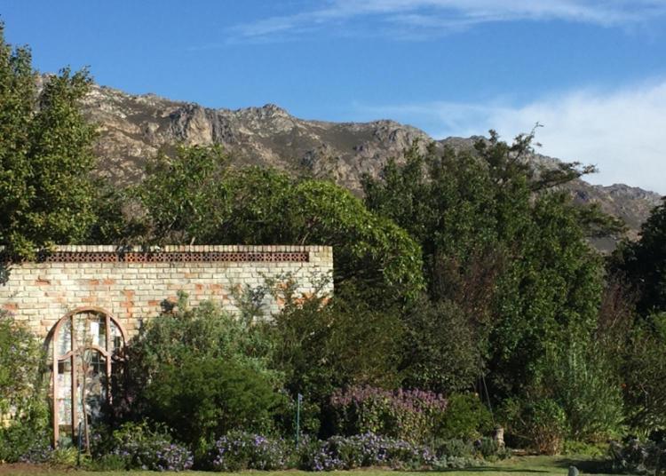 Watermill Studios Gordon's Bay Eksteriør billede