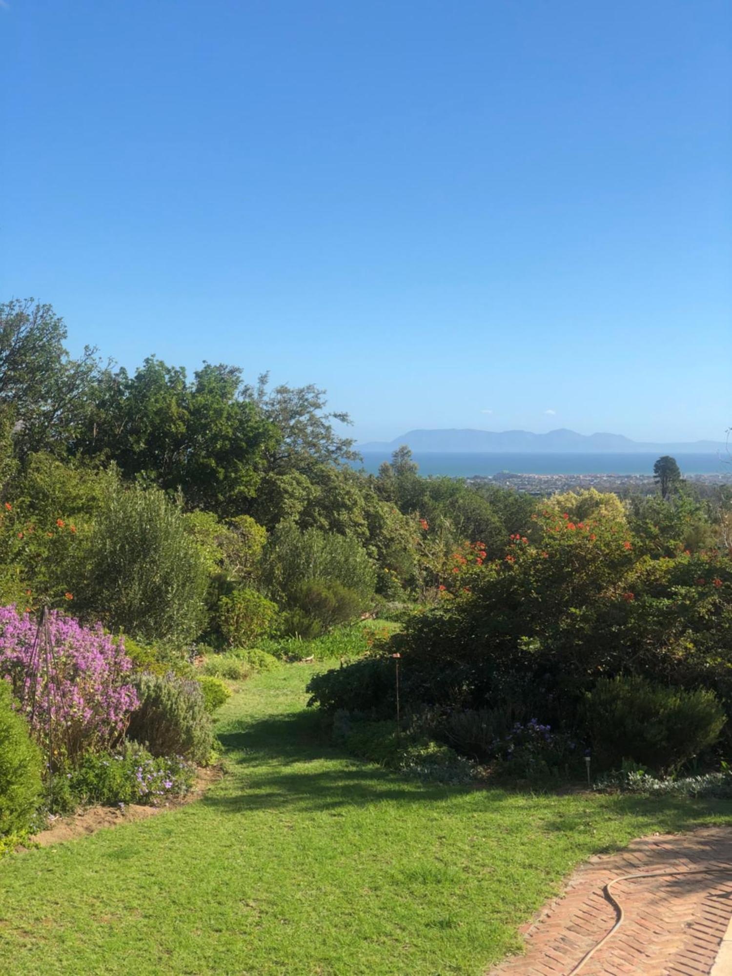 Watermill Studios Gordon's Bay Eksteriør billede