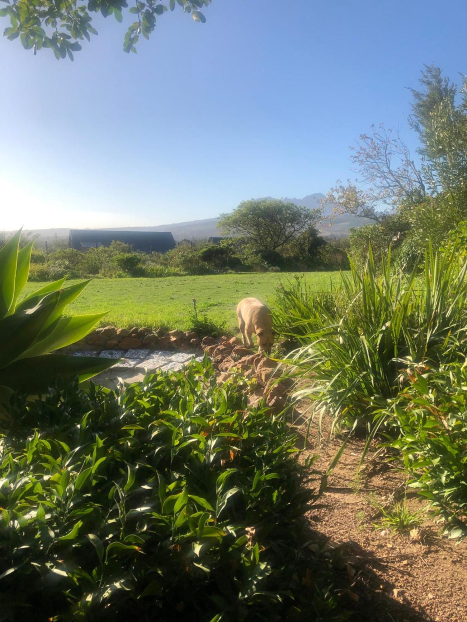 Watermill Studios Gordon's Bay Eksteriør billede